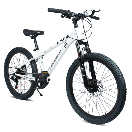 24 Inch Mountain Bike, 21 Speed Outdoor Cycling Bicycle with Front Suspension, Dual Disc Brakes and Steel Frame for Men Women